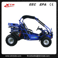 EPA/EEC Road Legal 300cc 2 Seat Automatic Dune Buggy